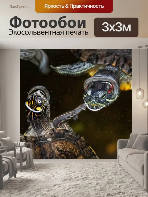 Фотообои Черепахи в воде