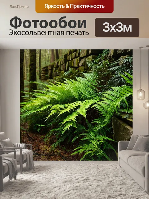 Фотообои лес с зелеными папоротниками, растущими вдоль каменных стен
