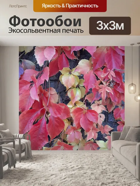 Фотообои осенние листья на стене