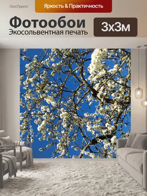 Фотообои Цветение вишневого дерева