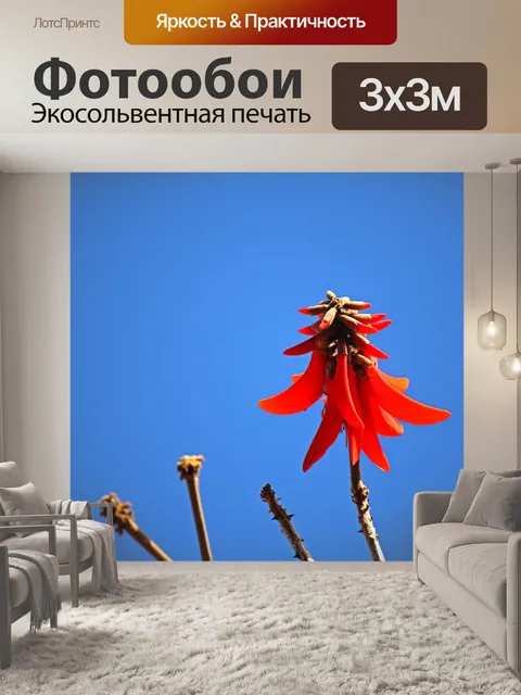 Фотообои ярко-красный цветок эритрины