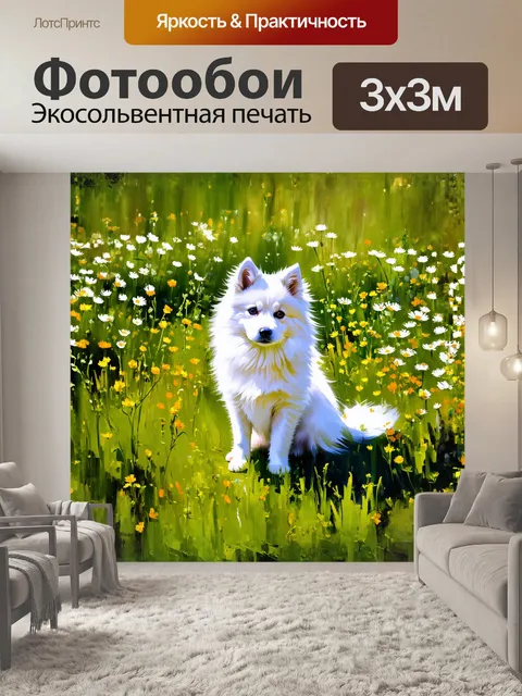 Фотообои белый поморский шпиц сидит на фоне зеленого луга, где цветут полевые цветы, создавая живописный контраст
