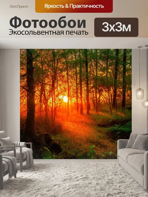 Фотообои закат в лесу с яркими огненными оттенками