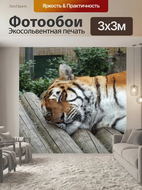 Фотообои Тигр