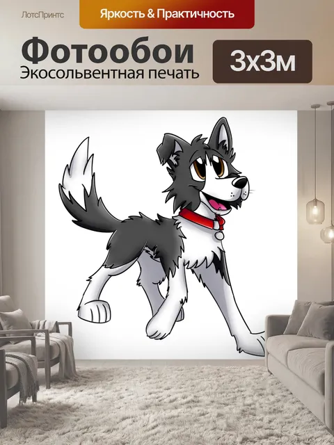 Фотообои колли