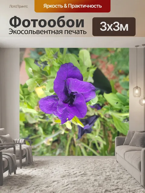 Фотообои Фиолетовый цветок