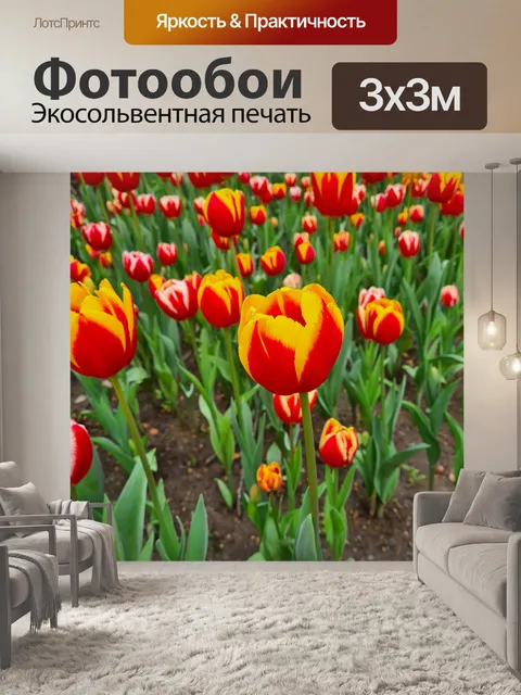 Фотообои Красные и желтые тюльпаны