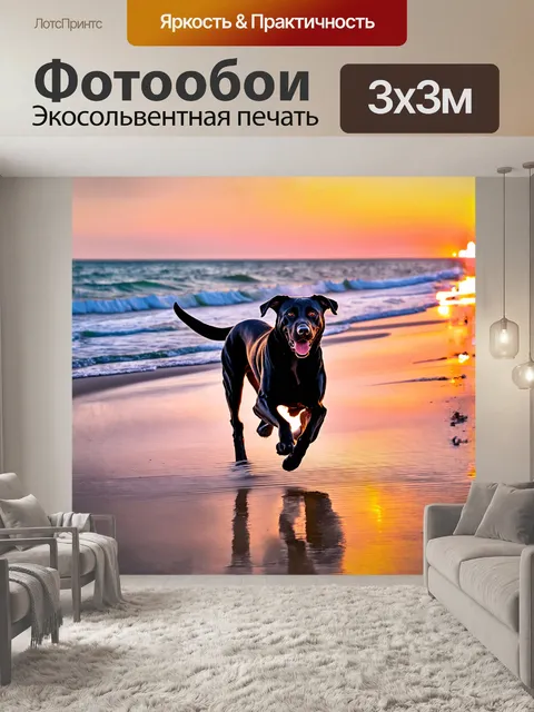 Фотообои черный лабрадор, бегущий по пляжу во время заката, с использованием техники длинной экспозиции, создавая…