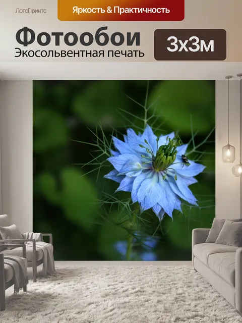 Фотообои Дамасская чернушка