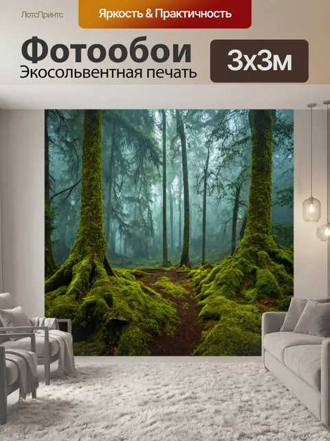 Фотообои древний лес с загадочным туманом