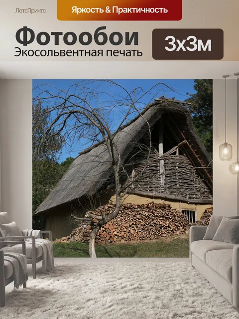 Фотообои Дом