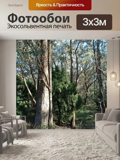 Фотообои Горы Аделаида