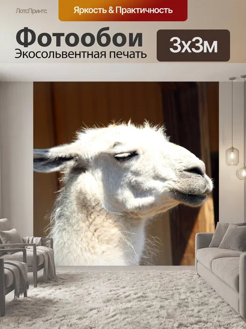 Фотообои Белый Лама руководитель