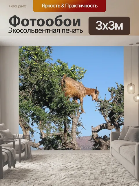 Фотообои Марокко