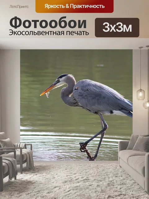 Фотообои Большая голубая цапля