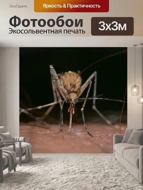 Фотообои Насекомые
