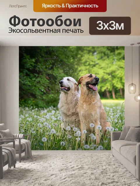 Фотообои Собака