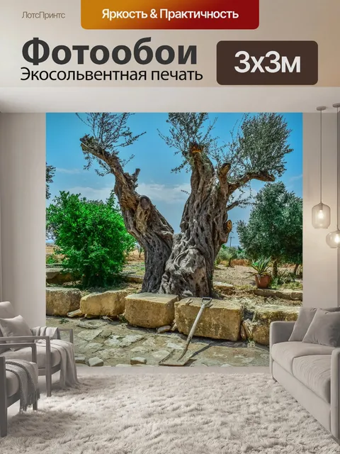 Фотообои Оливковое дерево