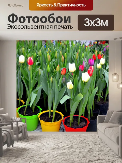 Фотообои Герметичный Тюльпаны