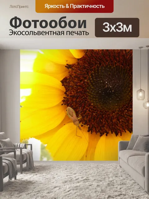 Фотообои Ошибка на подсолнечник