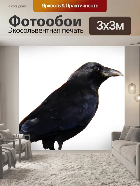 Фотообои Ворона