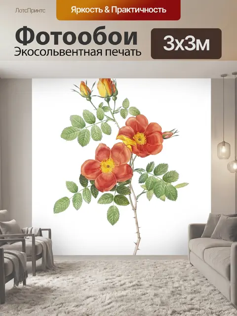 Фотообои Роза винтажное искусство старое