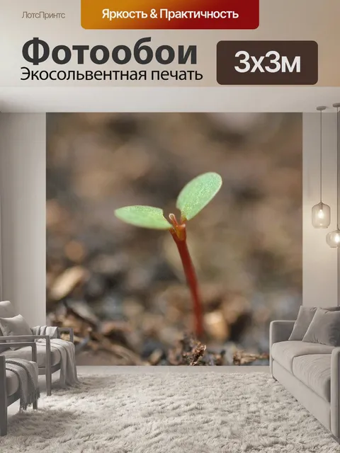 Фотообои Карта