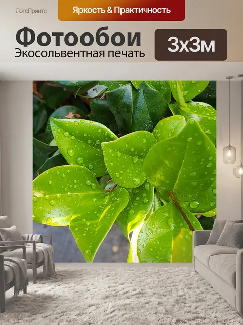 Фотообои Капли дождя на зеленых листьях