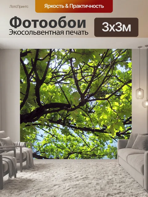 Фотообои Темные ветви и листья яркие