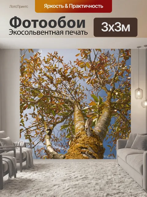 Фотообои К небу