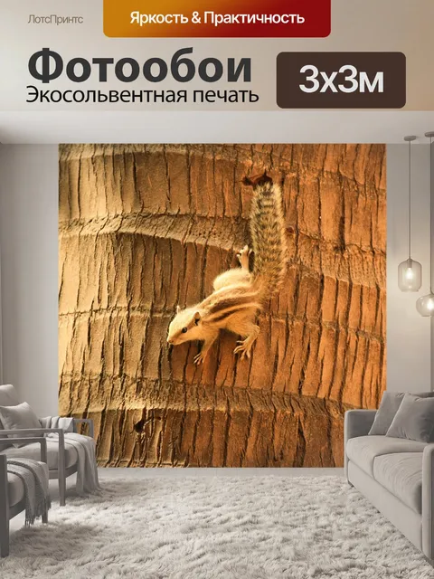 Фотообои Белка