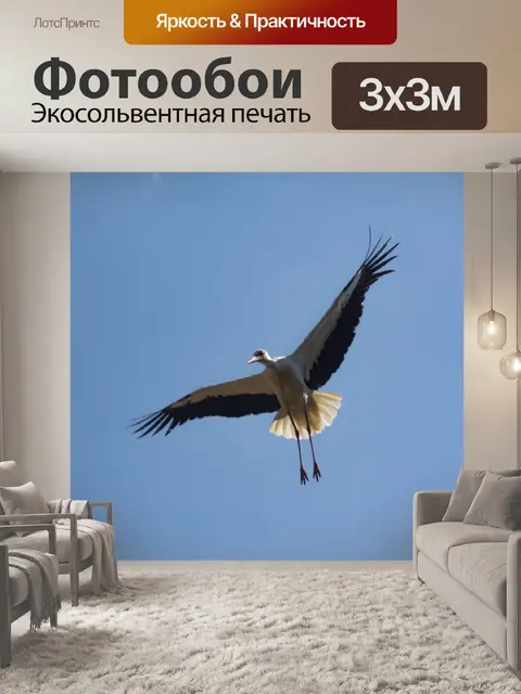 Фотообои Полет
