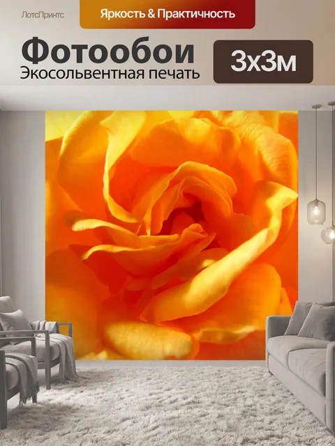 Фотообои Роуз