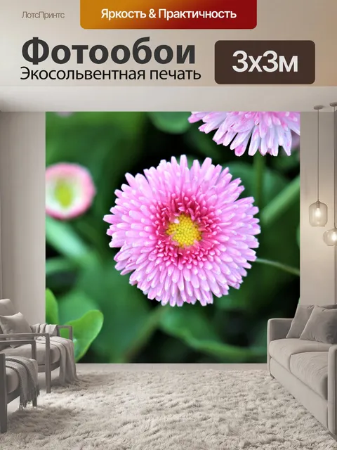 Фотообои Дейзи