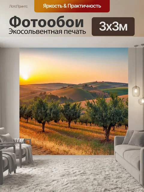 Фотообои италия, пейзажи умбрии, оливковые деревья и холмы, закат на горизонте,