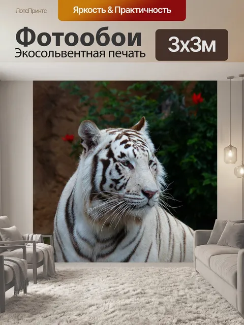 Фотообои Белый бенгальский тигр