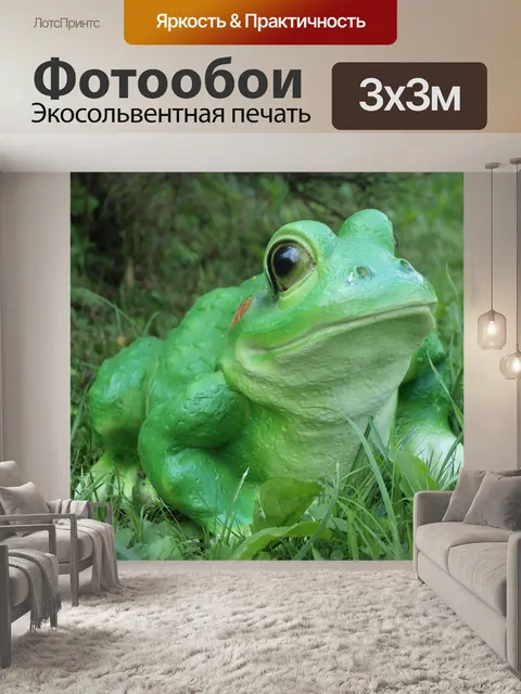 Фотообои Лягушка