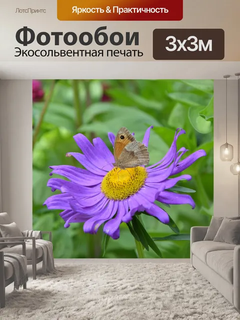 Фотообои Бабочка