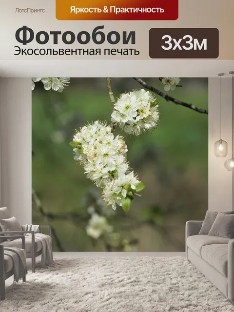 Фотообои Японская сакура