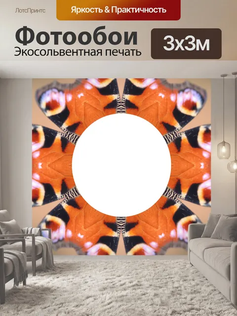 Фотообои Бабочка крылья кадров