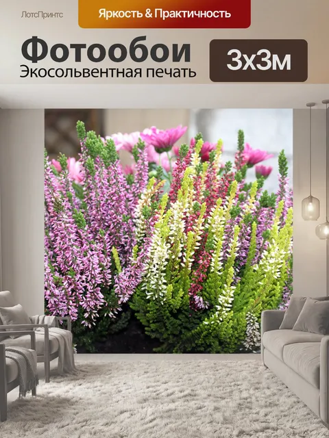 Фотообои Вереск