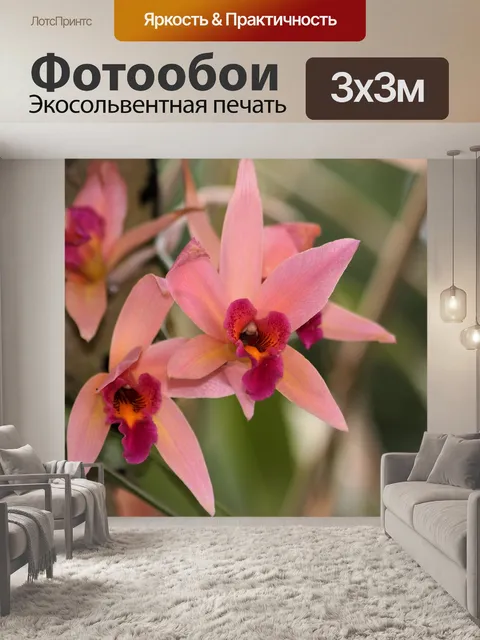 Фотообои Розовые и фиолетовые орхидеи
