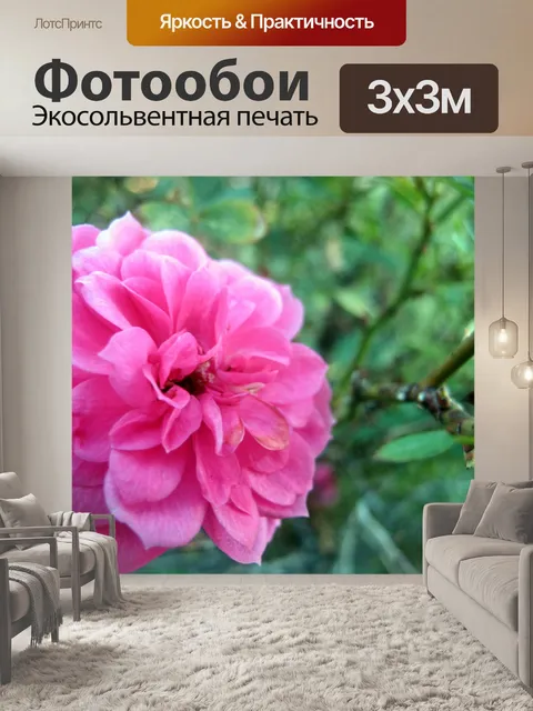 Фотообои розовый цветок
