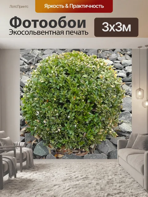 Фотообои Кустарник
