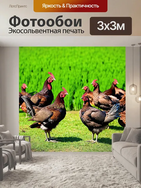 Фотообои птичий базар на фоне зеленого поля гваделупы, где цесарки собираются в группы, создавая симфонию звуков