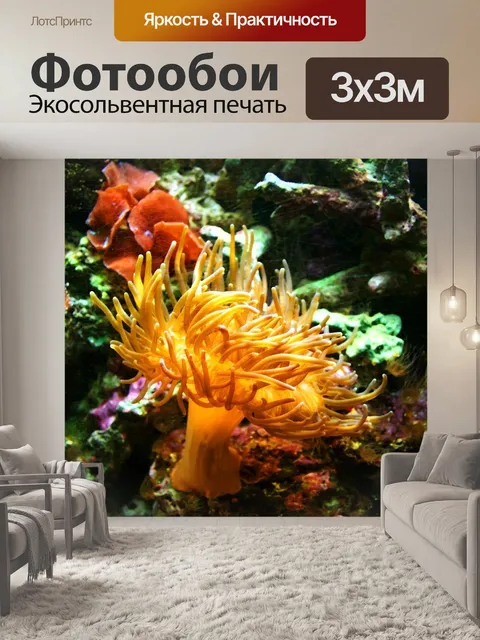 Фотообои Морской анемон