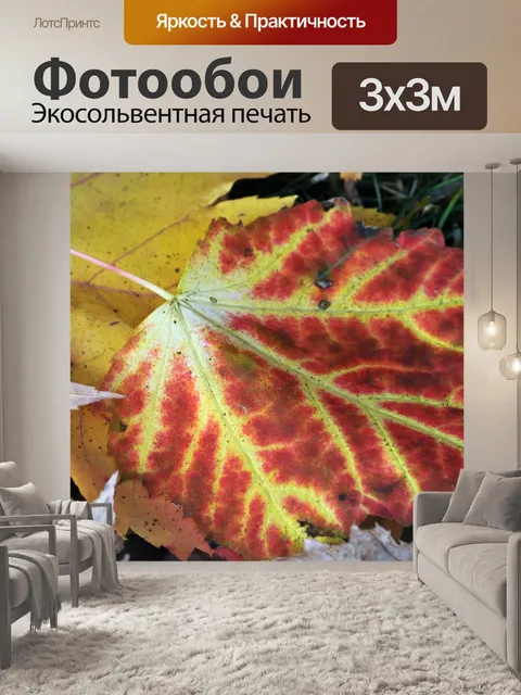Фотообои Оранжевый и желтый осенний лист