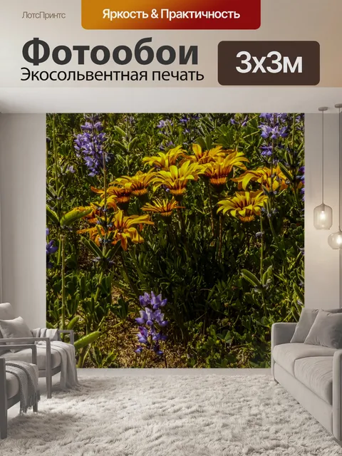 Фотообои Желтые ромашки и поле