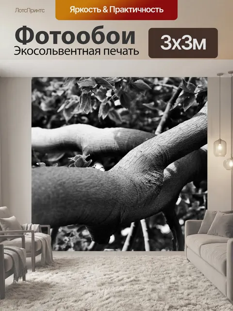 Фотообои Толстая ветка в б & W