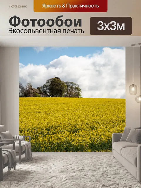Фотообои Область желтого рапса